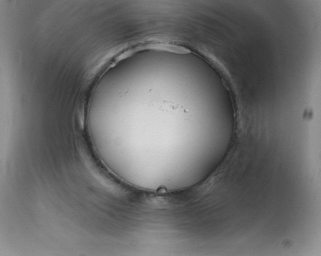 X0000113120062200909111149