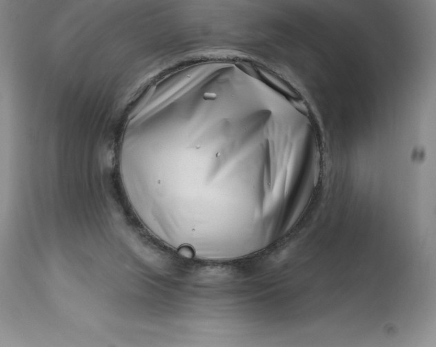 X0000113120063200909111149