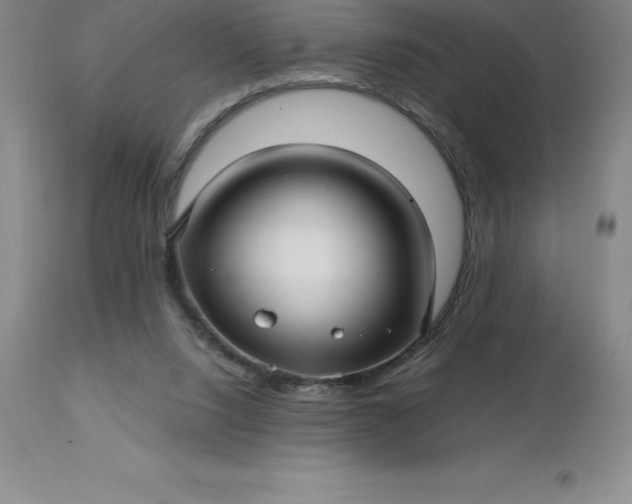 X0000113120064200909111149