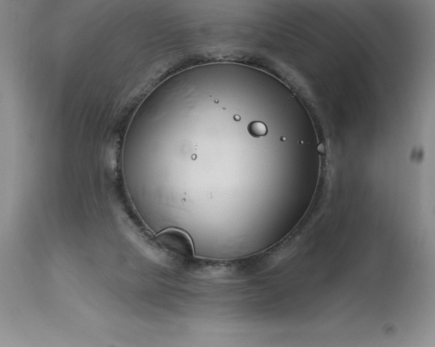 X0000113120065200909111149