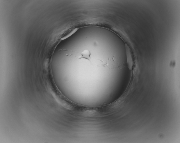 X0000113120066200909111149