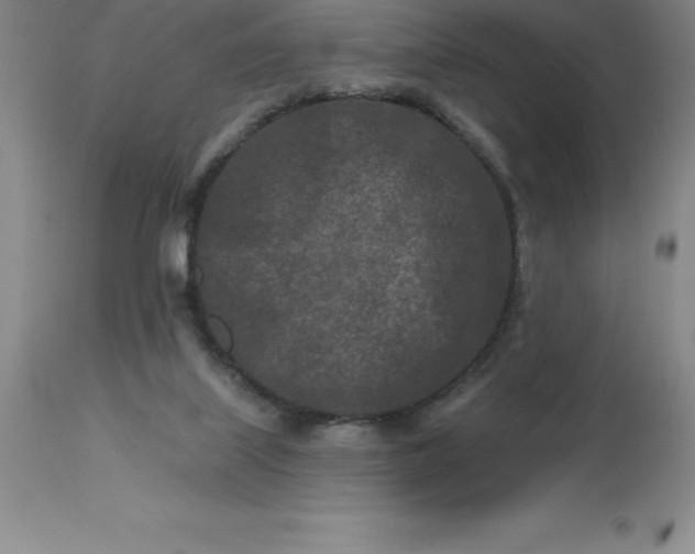 X0000113120067200909111149