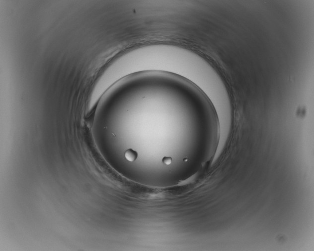 X0000113120068200909111149