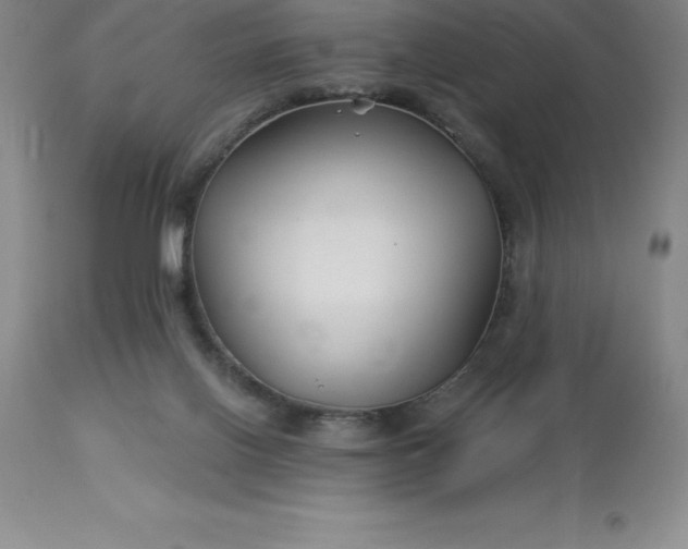 X0000113120070200909111149