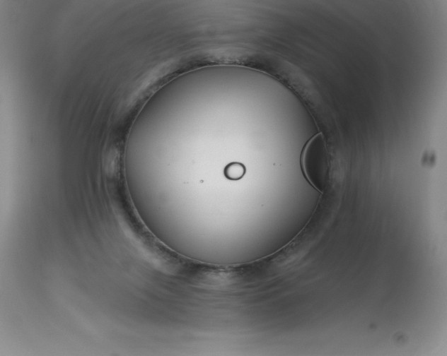 X0000113120071200909111149