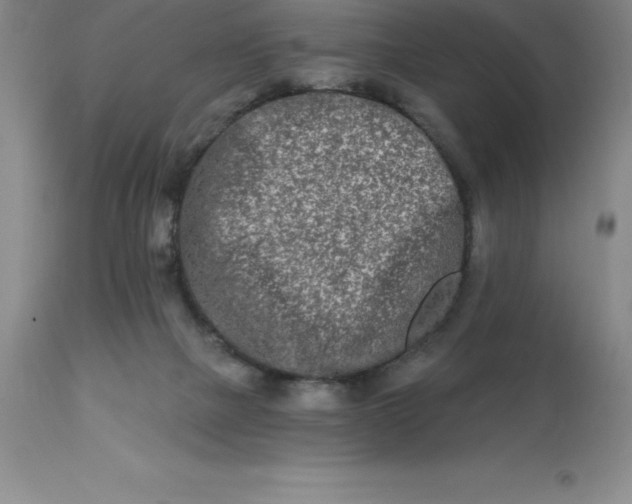 X0000113120073200909111149