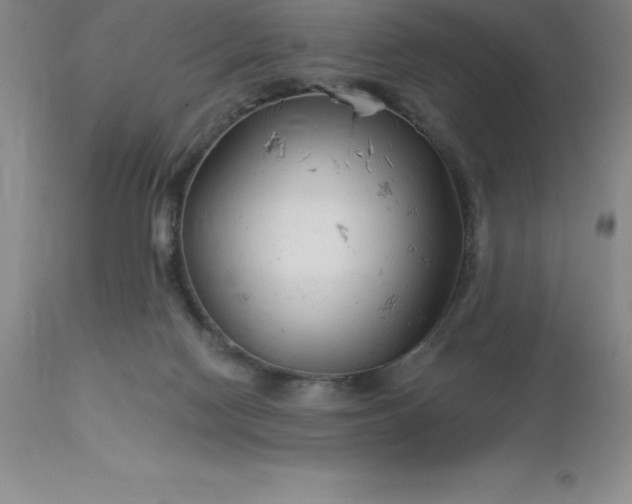 X0000113120074200909111149