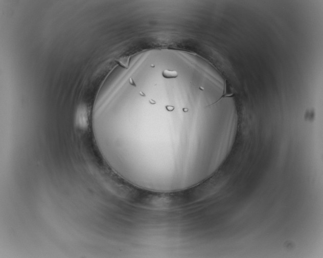 X0000113120075200909111149