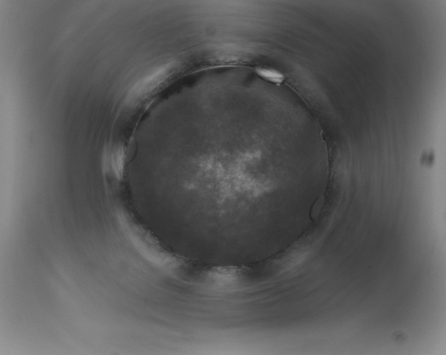 X0000113120076200909111149