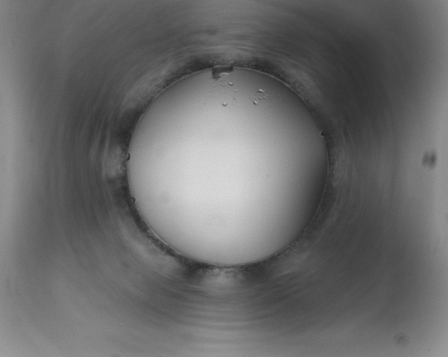 X0000113120077200909111149