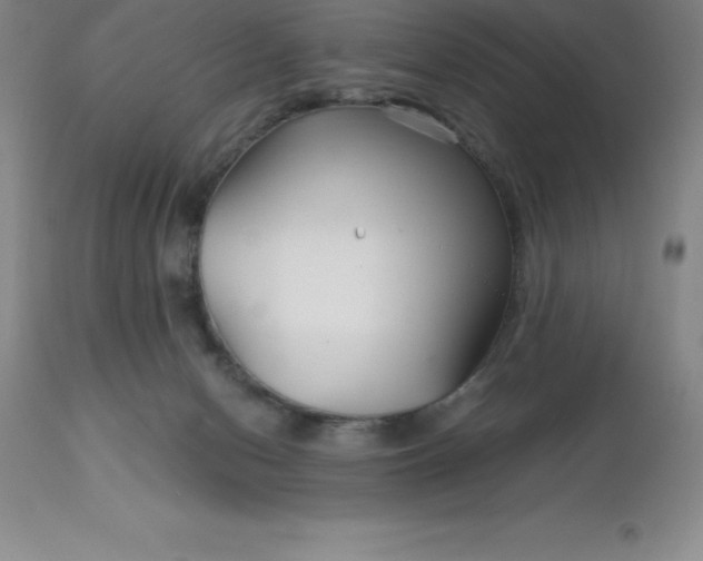 X0000113120078200909111149