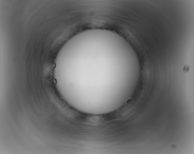 X0000113120079200909111149