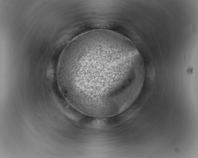 X0000113120080200909111149