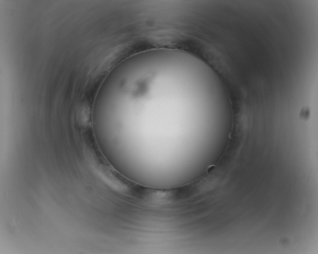 X0000113120081200909111149