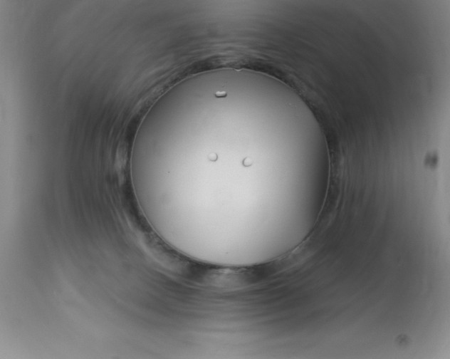 X0000113120082200909111149