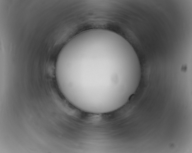 X0000113120083200909111149