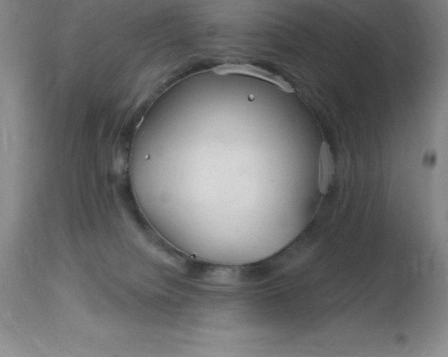 X0000113120084200909111149