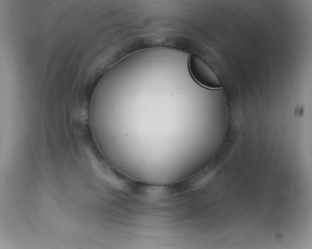 X0000113120085200909111150