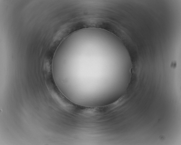 X0000113120086200909111150