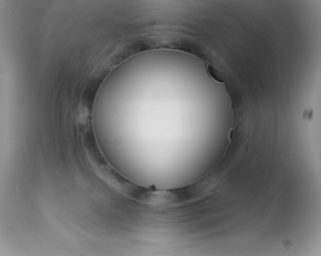 X0000113120087200909111150