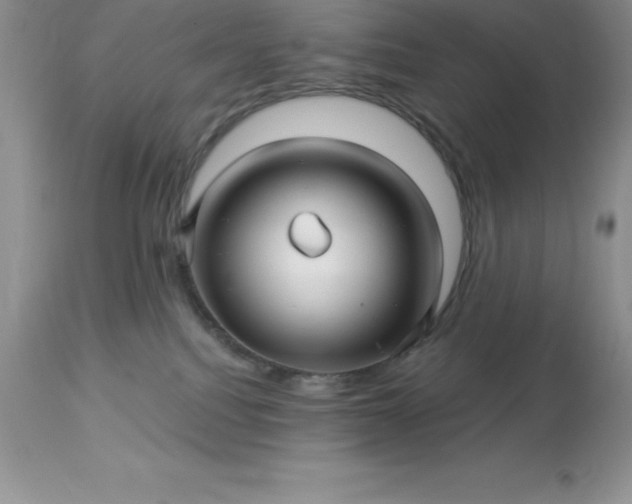 X0000113120088200909111150