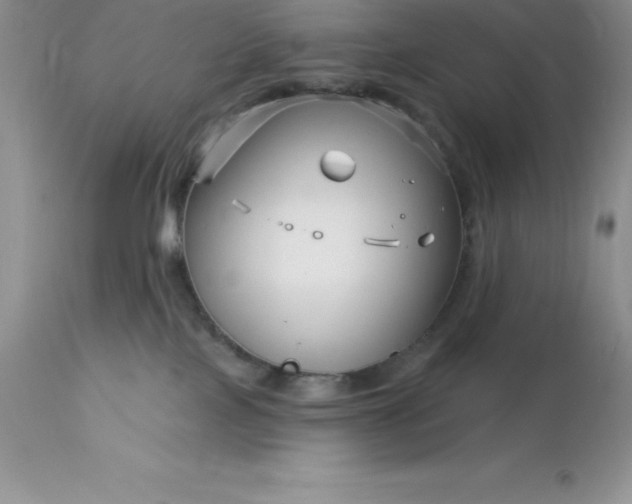 X0000113120089200909111150