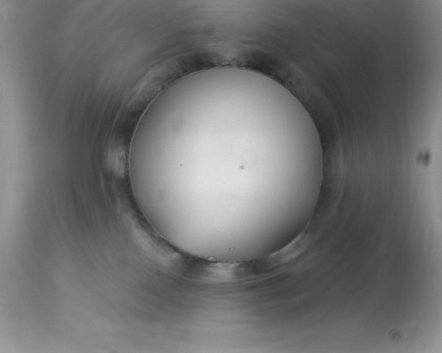 X0000113120090200909111150