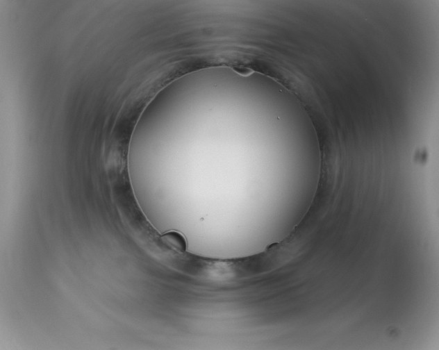 X0000113120091200909111150