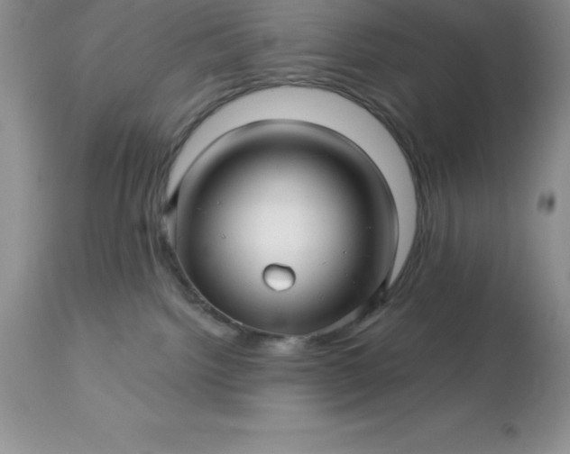 X0000113120092200909111150