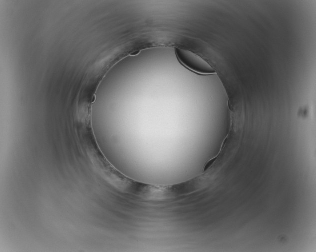 X0000113120093200909111150