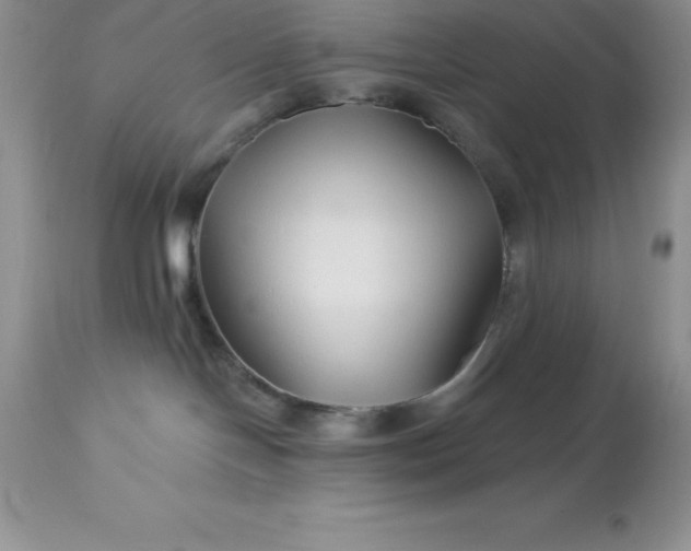 X0000113120094200909111150