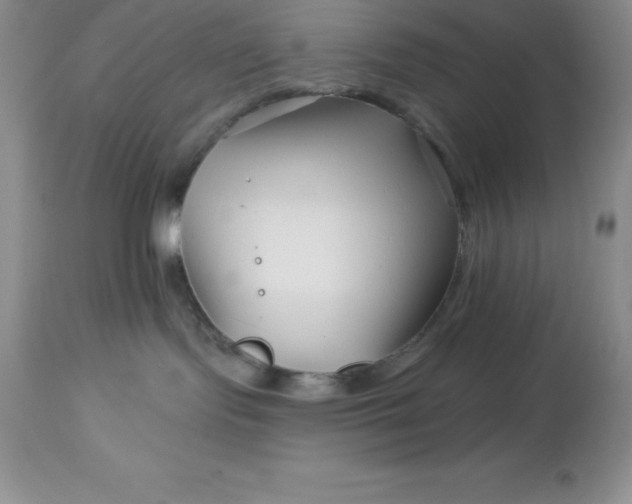 X0000113120095200909111150