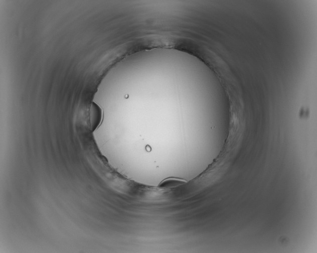 X0000113120096200909111150