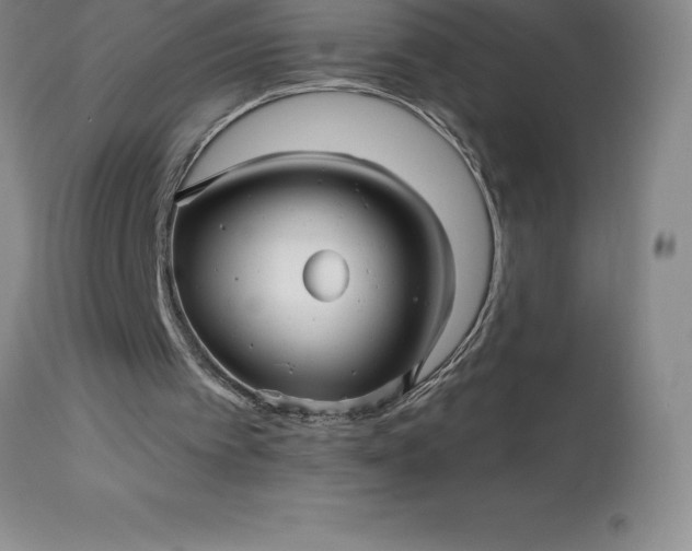 X0000113120097200909111149