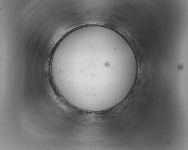 X0000113120098200909111149