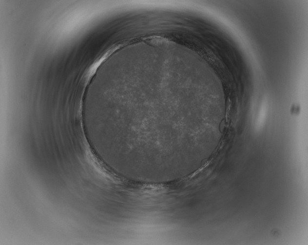 X0000113120099200909111149