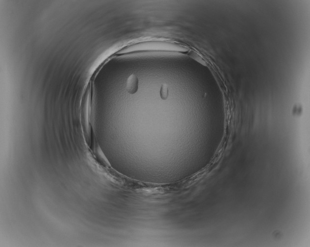 X0000113120100200909111149