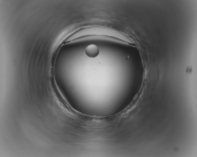 X0000113120101200909111149