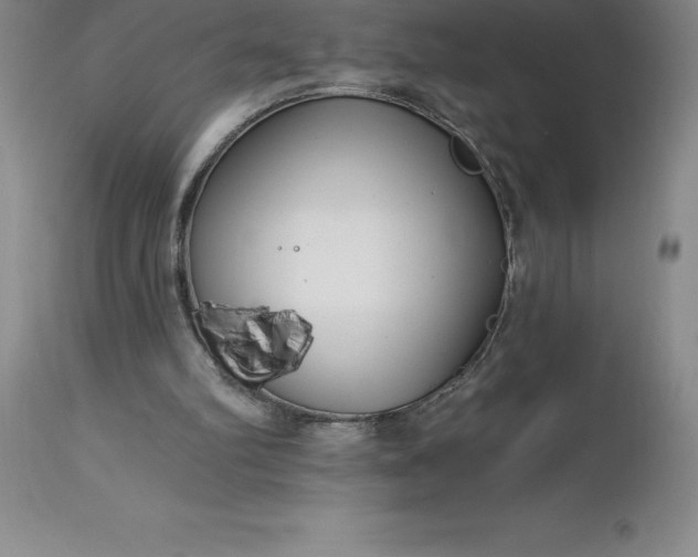 X0000113120102200909111149