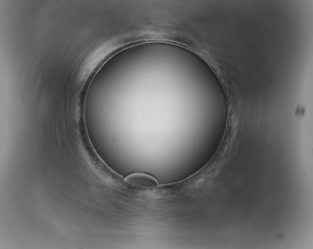 X0000113120103200909111149