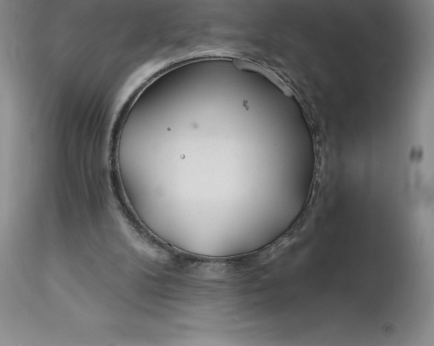 X0000113120104200909111149