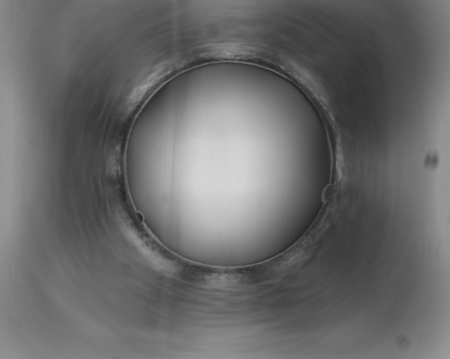 X0000113120105200909111149