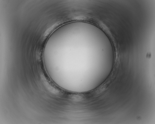 X0000113120106200909111149