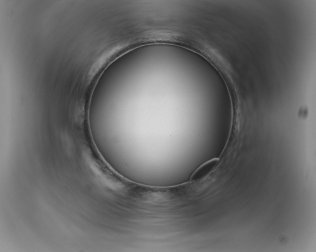 X0000113120107200909111149