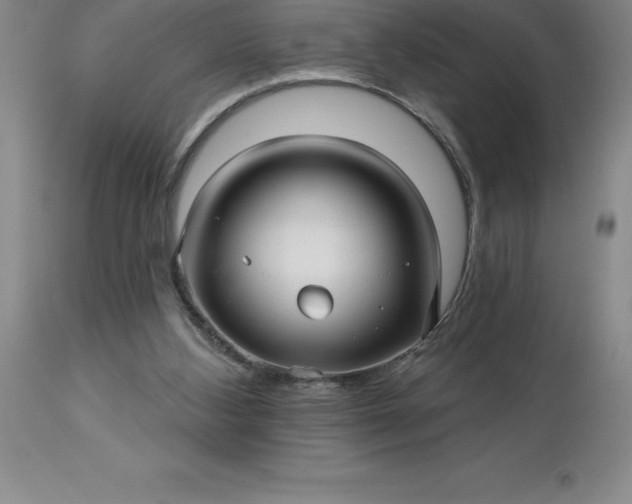 X0000113120108200909111149