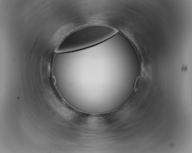 X0000113120109200909111149