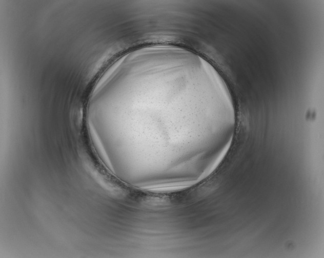 X0000113120110200909111149