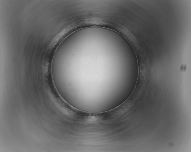 X0000113120111200909111149