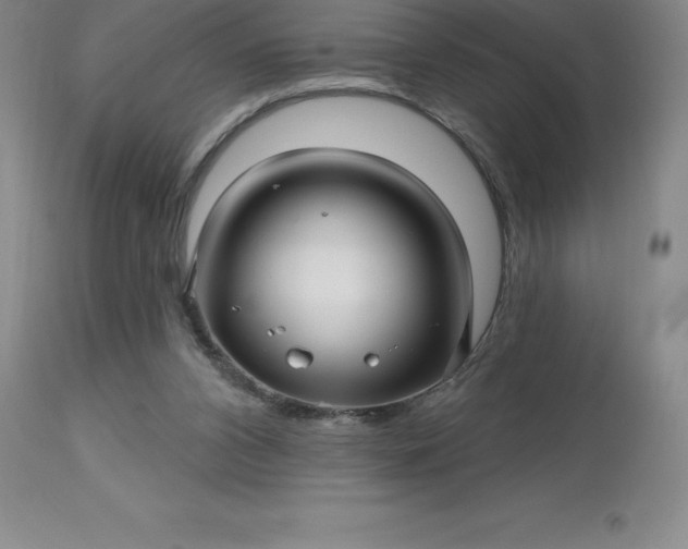 X0000113120112200909111149