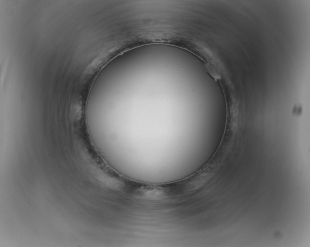 X0000113120113200909111149